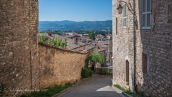  gubbio